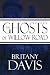 The Ghosts of Willow Road