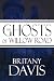 The Ghosts of Willow Road by Britany Davis