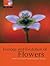 Ecology and Evolution of Flowers