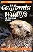 California Wildlife: A Practical Guide (Foghorn Outdoors)