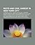 Riots and Civil Unrest in New York City: Stonewall Riots, Crown Heights Riot, Tompkins Square Park Riot, New York Conspiracy of 1741