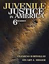 Juvenile Justice in America