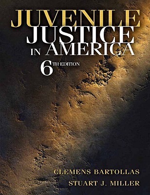 Juvenile Justice in America (Hardcover)
