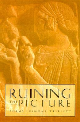 Ruining the Picture (Paperback)