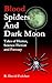 Blood Spiders and Dark Moon: Tales of Horror, Science Fiction and Fantasy