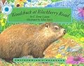 Woodchuck at Blackberry Road