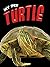 Turtle (My Pet)