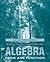 Algebra: Form and Function-...