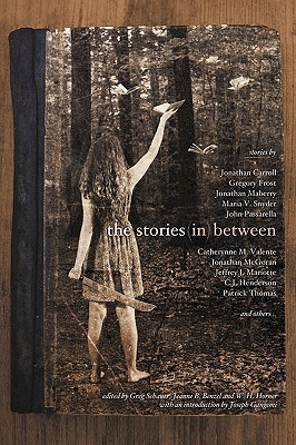 The Stories in Between: A Between Books Anthology (Paperback)