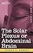 The Solar Plexus or Abdomin...