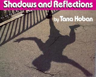 Shadows and Reflections: An Imaginative Wordless Picture Book About Everyday Seeing for Kids (Ages 4-8)