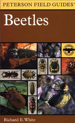Beetles: A Field Guide to the Beetles of North America (Paperback)