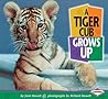 A Tiger Cub Grows Up by Joan Hewett