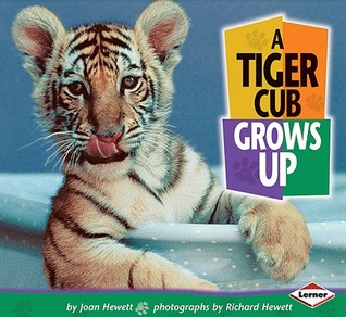 A Tiger Cub Grows Up (Baby Animals)