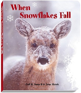 When Snowflakes Fall (Board Book)