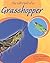 The Life Cycle of a Grasshopper (Life Cycles)