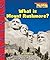 What Is Mount Rushmore? (Sc...