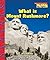 What Is Mount Rushmore? by Laine Falk