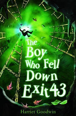The Boy Who Fell Down Exit 43 (paperback)