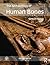 The Archaeology of Human Bones