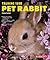 Training Your Pet Rabbit