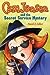 Cam Jansen and the Secret Service Mystery (Cam Jansen Mysteries, #26)