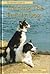 Pet Owner's Guide to Training the Family Dog by Brian McGovern