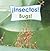 Insectos! / Bugs! (Spanish and English Edition)