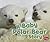 Baby Polar Bear Story (Pebble Plus: Baby Animals)