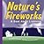 Nature's Fireworks: A Book About Lightning (Amazing Science)