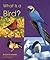 What Is a Bird?