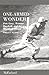 One-Armed Wonder: Pete Gray, Wartime Baseball, and the American Dream