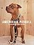 American Pitbull