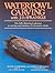 Waterfowl Carving with J. D. Sprankle by Roger Schroeder SVD Louis J...