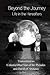 Beyond the Journey - Life i...