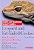 Leopard and Fat-Tailed Geckos (Reptile and Amphibian Keeper's Guides)