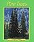 Pine Trees by Marcia S. Freeman
