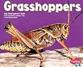Grasshoppers