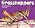 Grasshoppers (Bugs, Bugs, Bugs!)