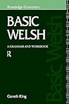 Basic Welsh: A Grammar and Workbook (Grammar Workbooks)
