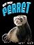 Ferret