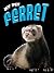 Ferret (My Pet)