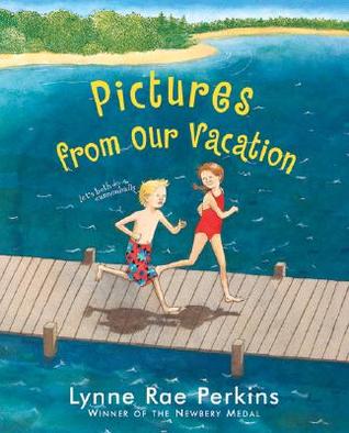 Pictures from Our Vacation (Hardcover)