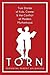 Torn: True Stories of Kids, Career & the Conflict of Modern Motherhood
