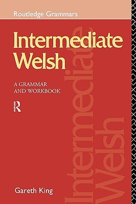 Intermediate Welsh: A Grammar and Workbook (Grammar Workbooks) (English and Welsh Edition)