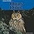 Owls in the Dark (Creatures of the Night)