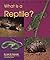 What Is a Reptile?