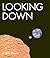 Looking Down by Steve Jenkins