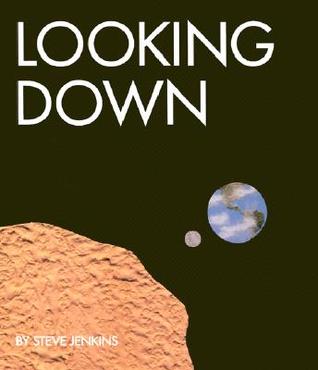 Looking Down (Paperback)