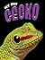 My Pet Gecko